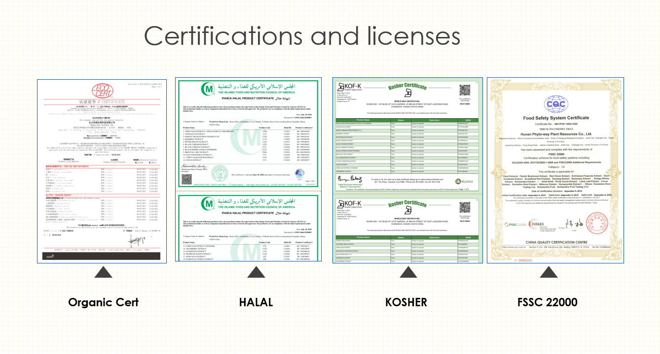 认证和许可证