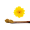 菊花提取物