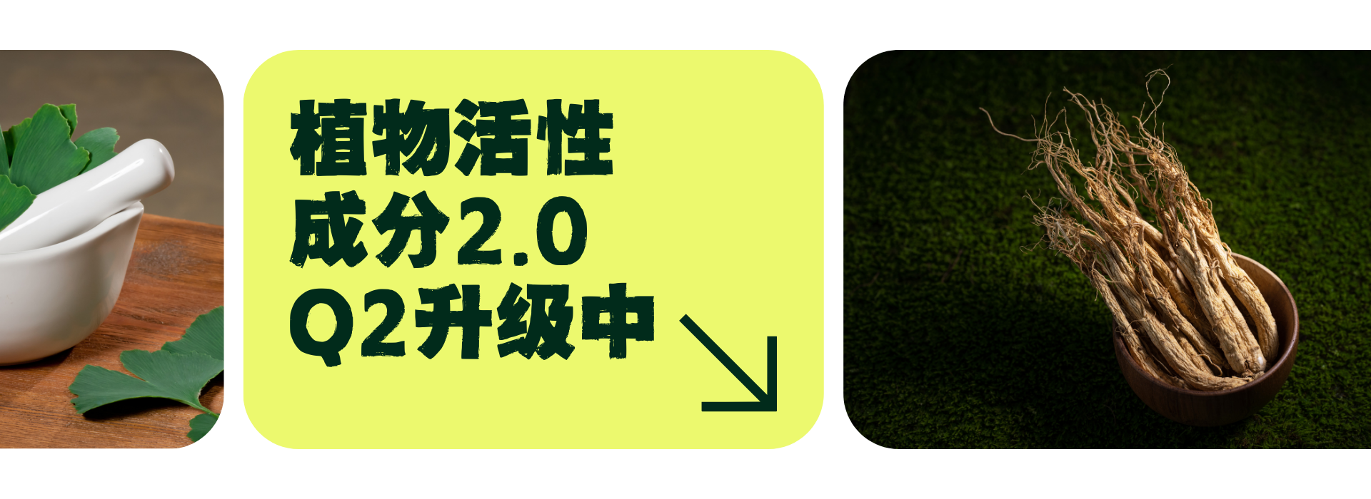 第二季度营销重点 (2)