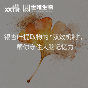 银杏文章.png