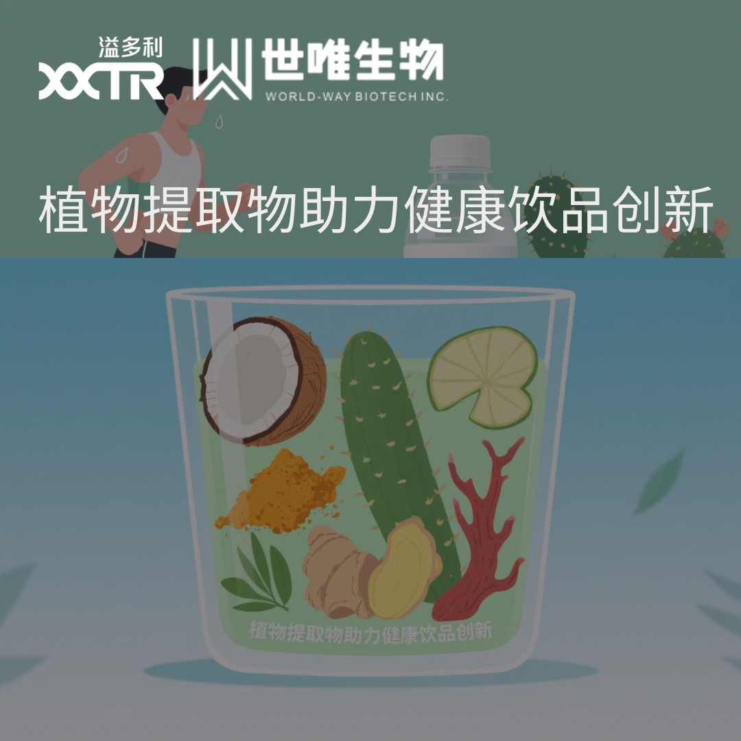 行业动态：功能性饮料趋势升级，植物提取物助力健康饮品创新