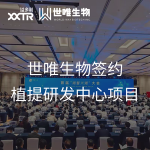 封面.png