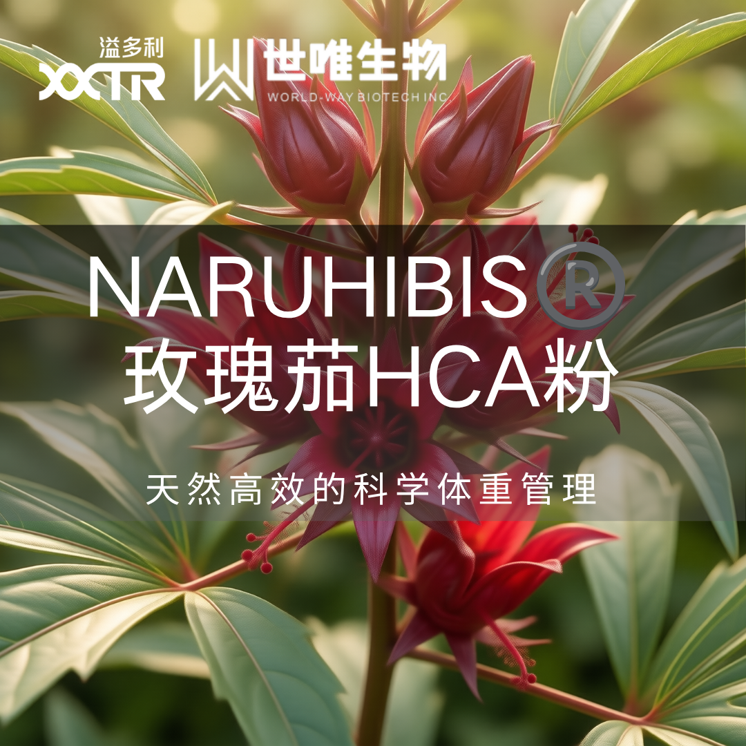 Naruhibis® 玫瑰茄HCA粉：天然高效的科学体重管理方案