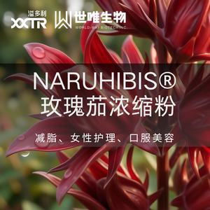 官网文章封面.png