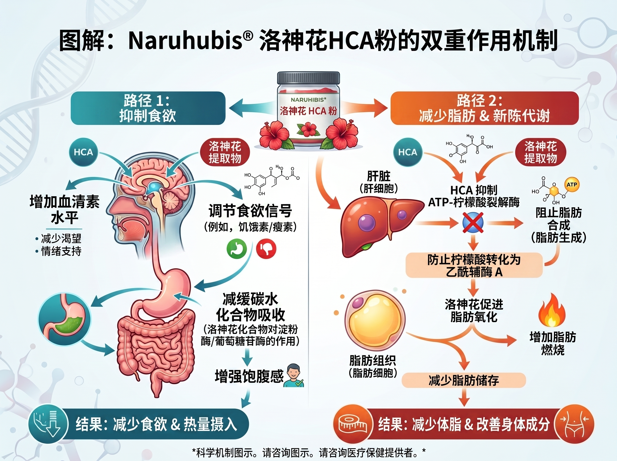英文标注翻译成中文_2K_202606261141.jpeg