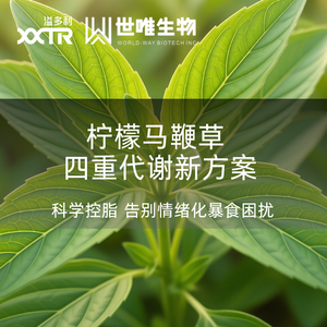 官网文章封面.png