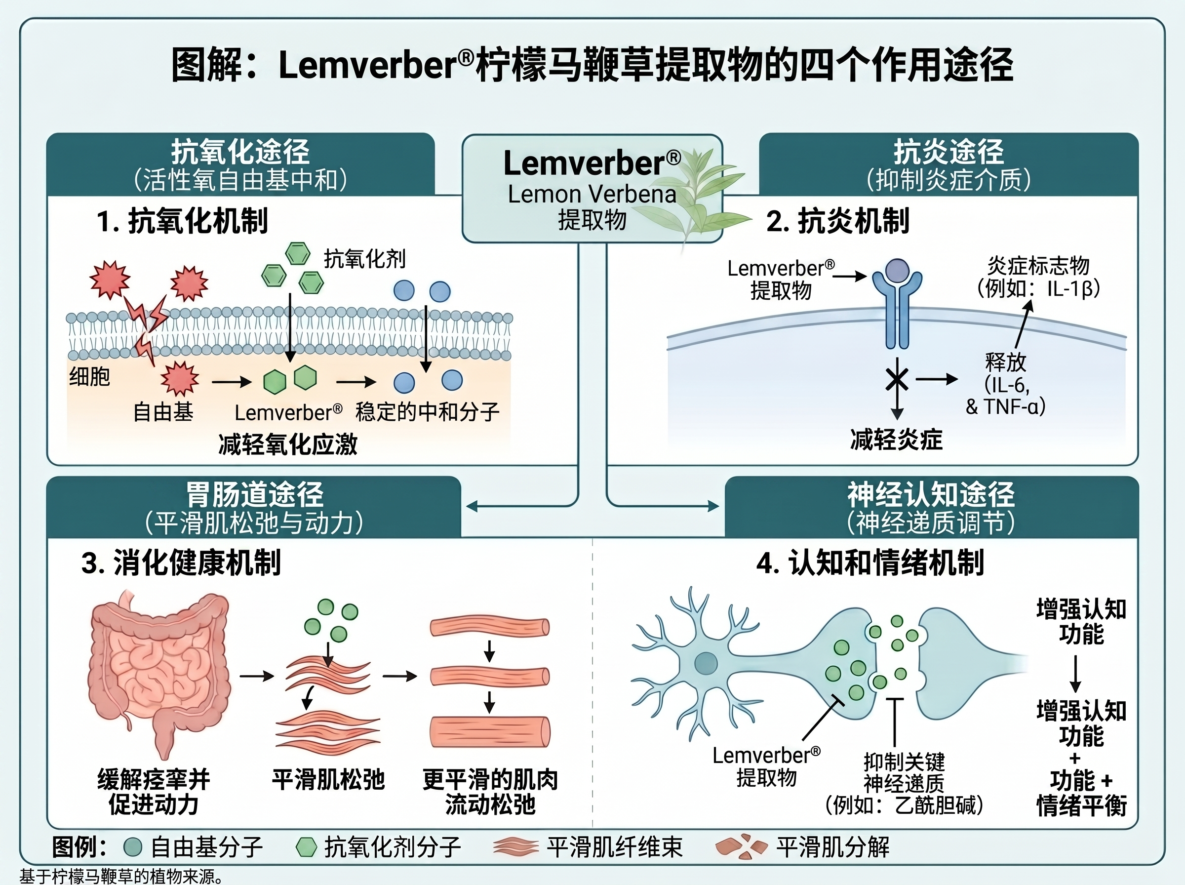 将图片中的“林姆维尔”改成“Lemverber”，去掉“防臭木”三个字_2K_202606261132.jpeg