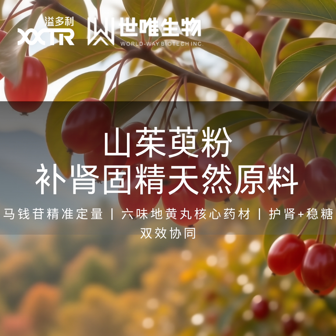 山茱萸粉：千年补肾良药的现代科学诠释