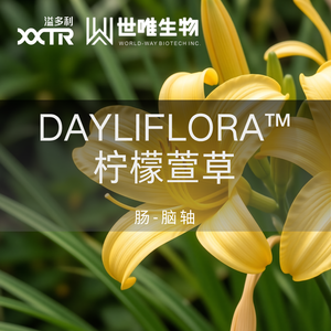 官网文章封面 (1).png